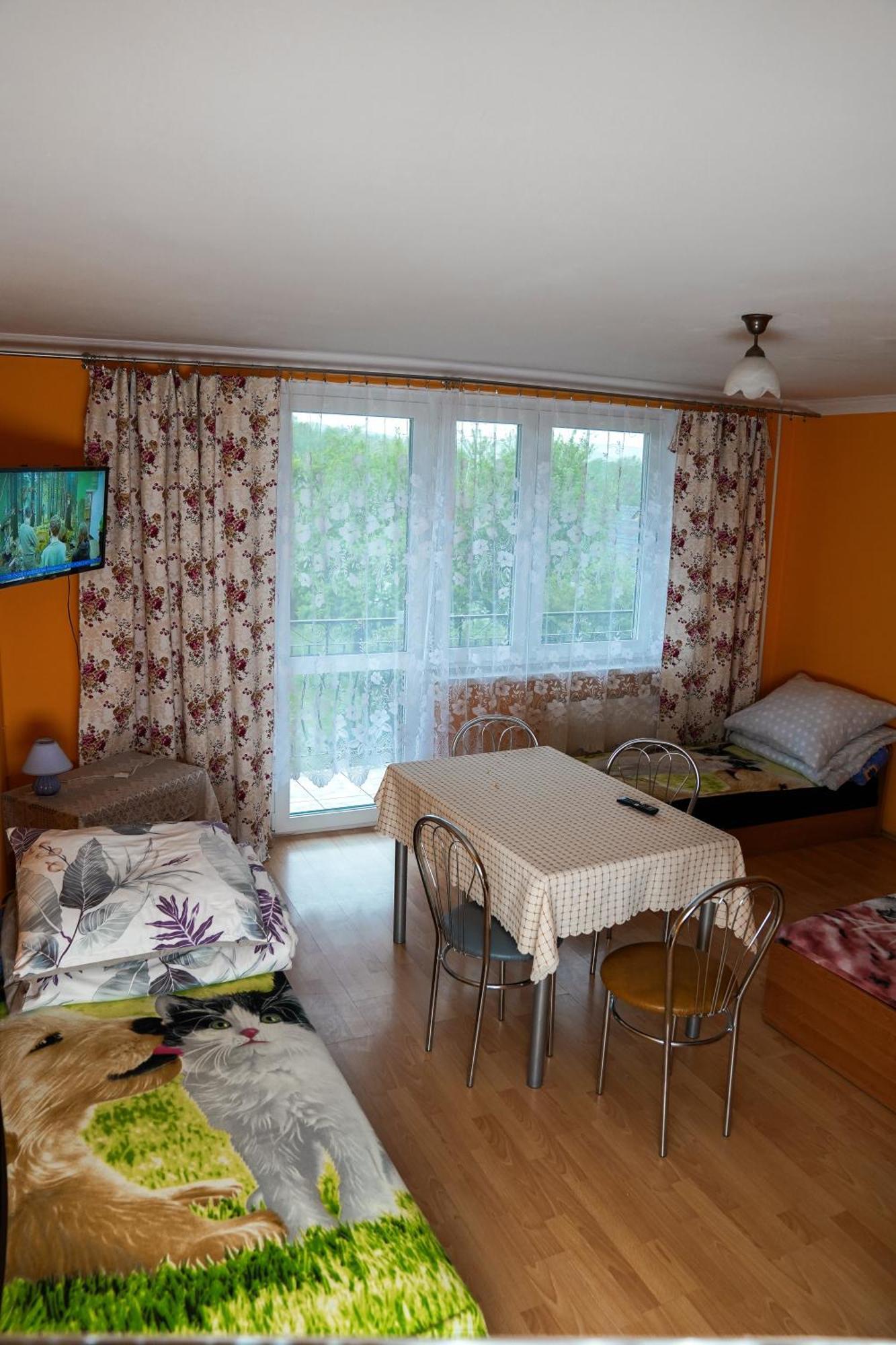 Kwatery Prywatne U Gosi Nad Solina Solina  Exterior foto
